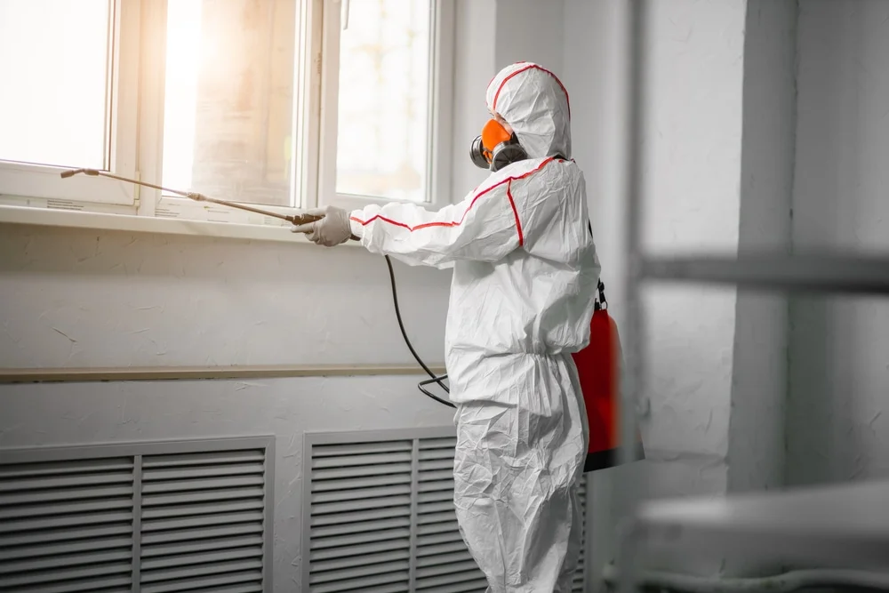 Professional mold remediation services in Adams, MA